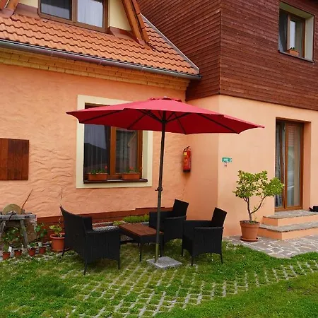 U Zimu Vodňany